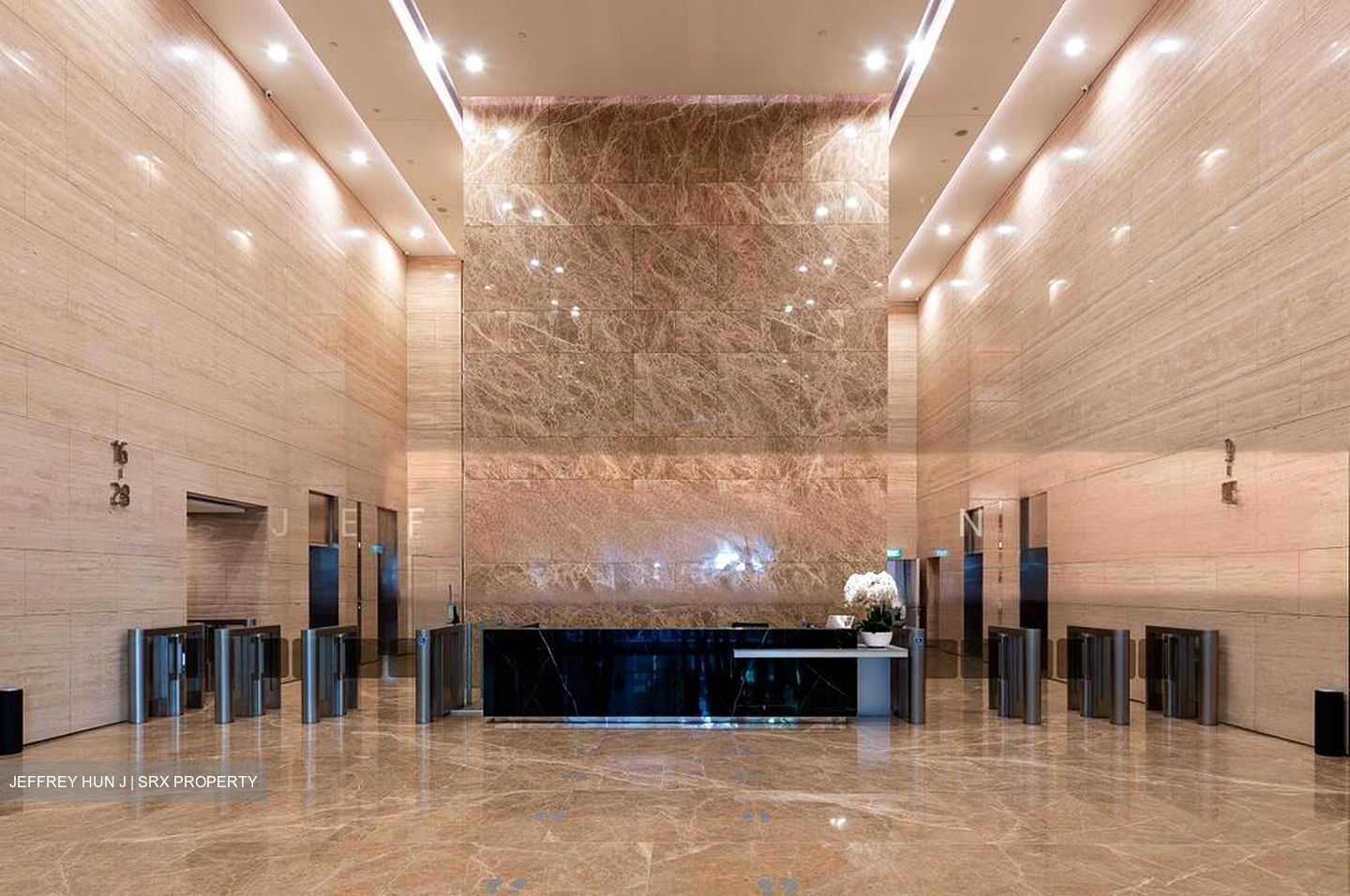 PLUS (D1), Office #570496281